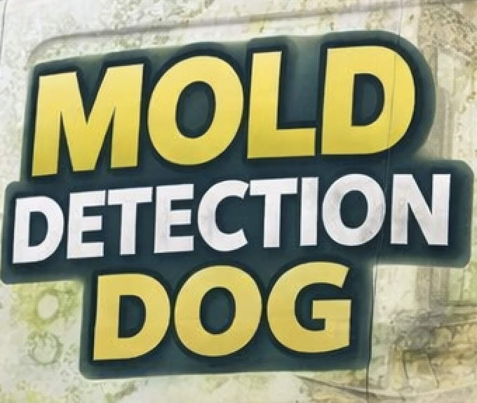 Savannah Mold Dog